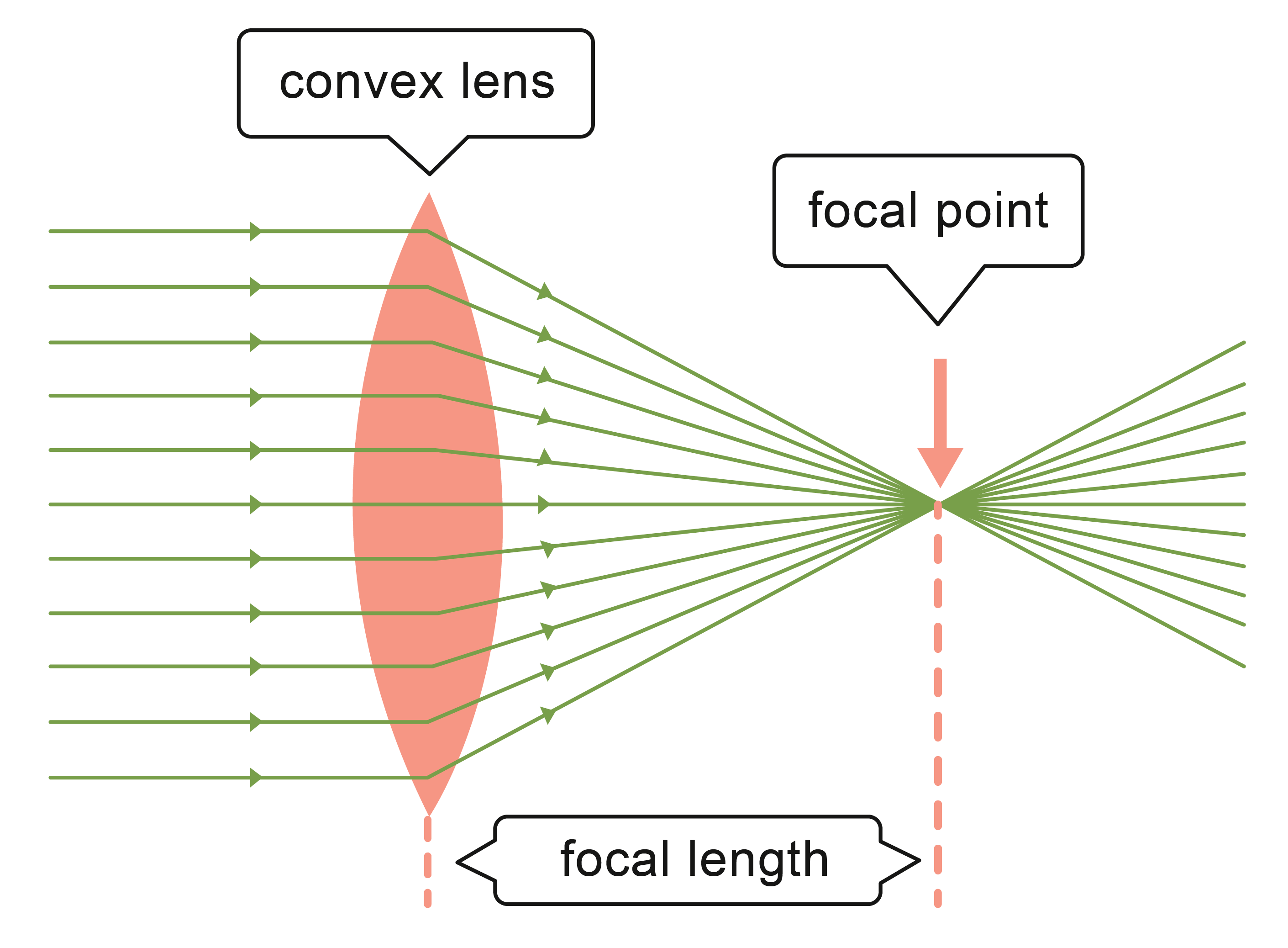 Convex lens refracting